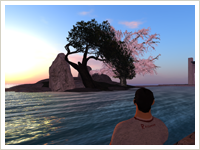 sample photo of secondlife